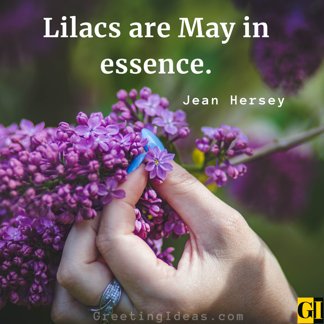 45 Romantic Lilac Quotes Sayings For The Young Lovers Affordable Gaming Accessories for PC Setup Under 100